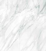 Stained Monochrome Floor