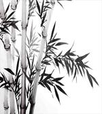 Chinese Calligraphy