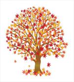 Fall Season MaplevLeaves