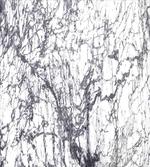 Surreal Abstract