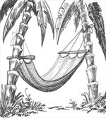 Hammock Palm Trees