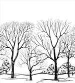 Fall Tree Without Leaves
