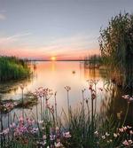 Sunset at Chudskoy Lake