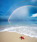 Rainbow Ocean