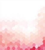 Geometric Digital