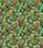 Cactus Flowers Garden