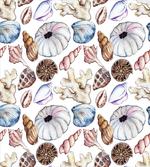 Seashell Coral Reef