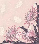 Chrysanthemum Bloom
