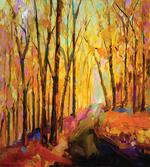 Fall Time Forest Scenery