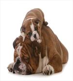 Father and Son