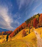 Fresh Autumn Mountain Valley