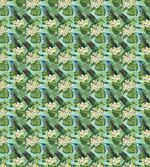 Brazilian Rainforest Art
