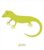 Australian Lizard