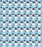 Arctic Animals Aquatic