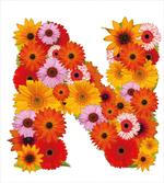 Vibrant Colored Flora