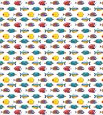 Colorful Tropical Species