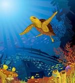 Coral Reef Fish Turtle