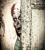 Old House Vampire