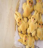 Homemade Rabbit Cookie