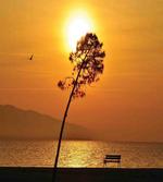 Romantic Sunset Twilight