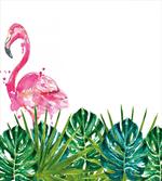 Exotic Nature Flamingo