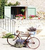 Bike Flower Countryside