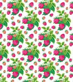 Raspberries and Green Leaves