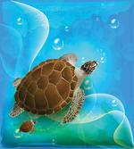 Swimming Turtle Family