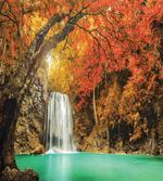 Autumn Nature Forest