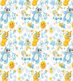 It's a Boy Sun Raccoon