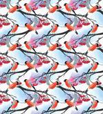 Bullfinch Birds on Shrubs