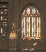 Medieval Library Cat artwork