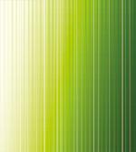 Ombre Color Stripe Digital