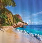 Summer Ocean and Palm Trees