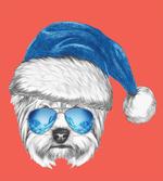 Blue Santa Hat Funny