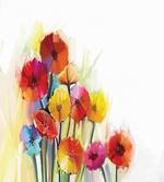 Gerbera Flower Romance