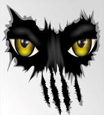 Evil Eyes Black Cat Danger