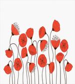 Summer Poppy Flowers