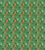 Rainforest with Parrot Birds