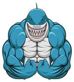Toothy White Shark Smiling