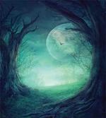 Spooky Valley in Woods artwork