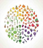 Colorful Food Circle