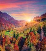 Morning in Mountain Tree artwork