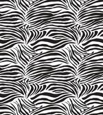 Wild Zebra Lines