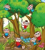 Kid Apes Play in Forest