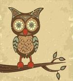 Owl Sitting on Branch