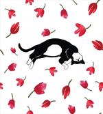 Cat Sleeping Tulips