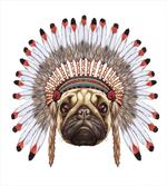 Native Style Bonnet Dog