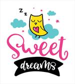 Nursery Sleppy Owl Design