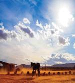 Horse Valley Sky View artwork